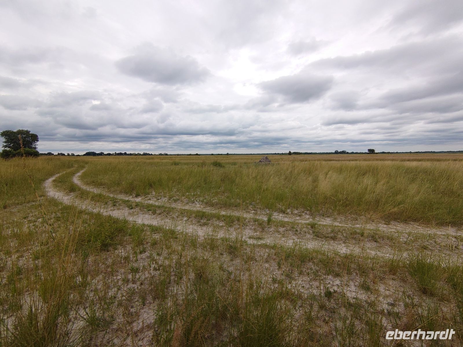 151 Unterwegs im Bwabwata NP &ndash; &copy; Burkhard Herpich (Eberhardt TRAVEL)
