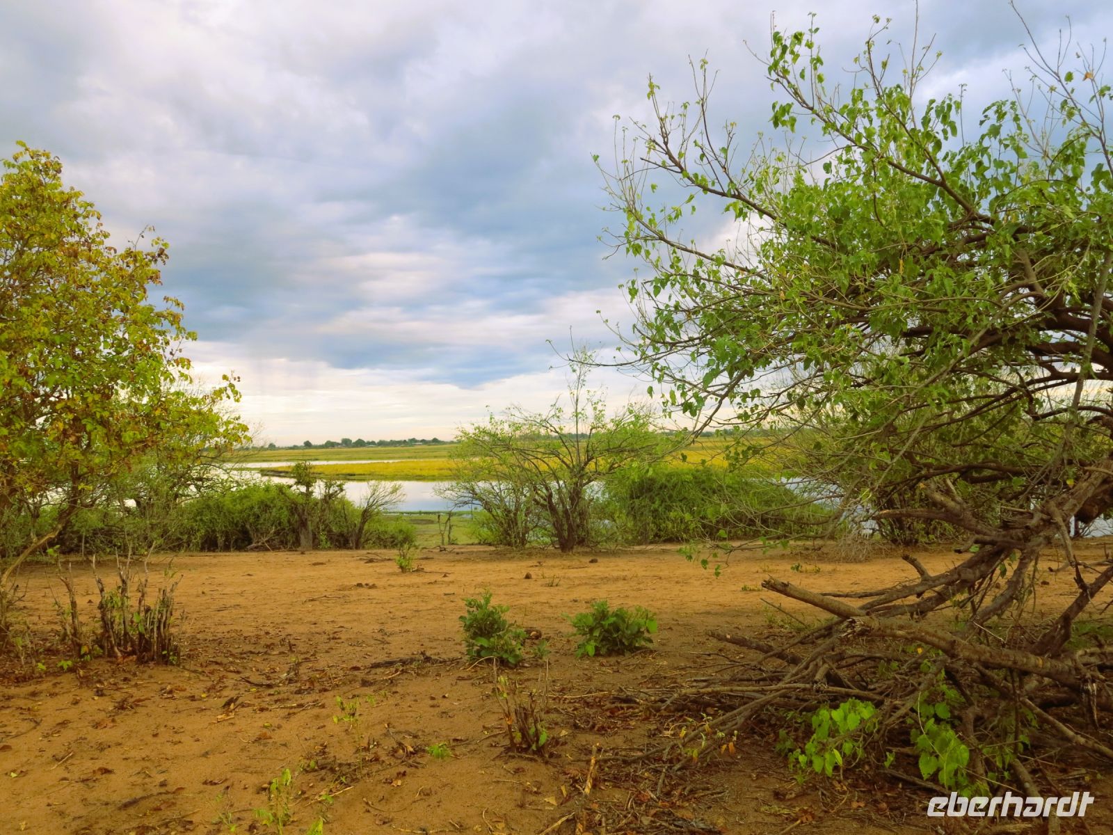 193 Im Chobe NP &ndash; &copy; Burkhard Herpich (Eberhardt TRAVEL)