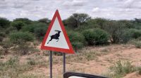 32 Achtung Antilopen von links. &ndash; &copy; Burkhard Herpich (Eberhardt TRAVEL)