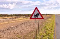 44 Schon wieder was von links &ndash; &copy; Burkhard Herpich (Eberhardt TRAVEL)