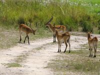 113 Wir blockieren mal den Weg... &ndash; &copy; Burkhard Herpich (Eberhardt TRAVEL)