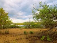 193 Im Chobe NP &ndash; &copy; Burkhard Herpich (Eberhardt TRAVEL)