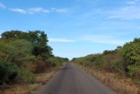 220 In Zimbabwe &ndash; &copy; Burkhard Herpich (Eberhardt TRAVEL)