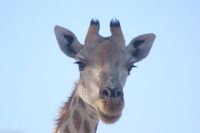 10 Look at me &ndash; &copy; Susanne Schirmann (Eberhardt TRAVEL)