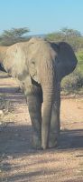14 besondere Begegnung &ndash; &copy; Susanne Schirmann (Eberhardt TRAVEL)