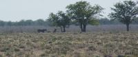 41 Siesta &ndash; &copy; Susanne Schirmann (Eberhardt TRAVEL)