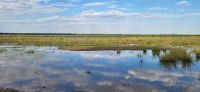 130 Bwabwata Nationalpark &ndash; &copy; Susanne Schirmann (Eberhardt TRAVEL)