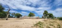 159 Besuch der Mafwe &ndash; &copy; Susanne Schirmann (Eberhardt TRAVEL)