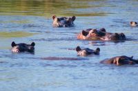 180 wir werden beobachtet &ndash; &copy; Susanne Schirmann (Eberhardt TRAVEL)