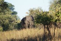 209 im Anmarsch &ndash; &copy; Susanne Schirmann (Eberhardt TRAVEL)