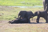 228 Rutsch mal &ndash; &copy; Susanne Schirmann (Eberhardt TRAVEL)