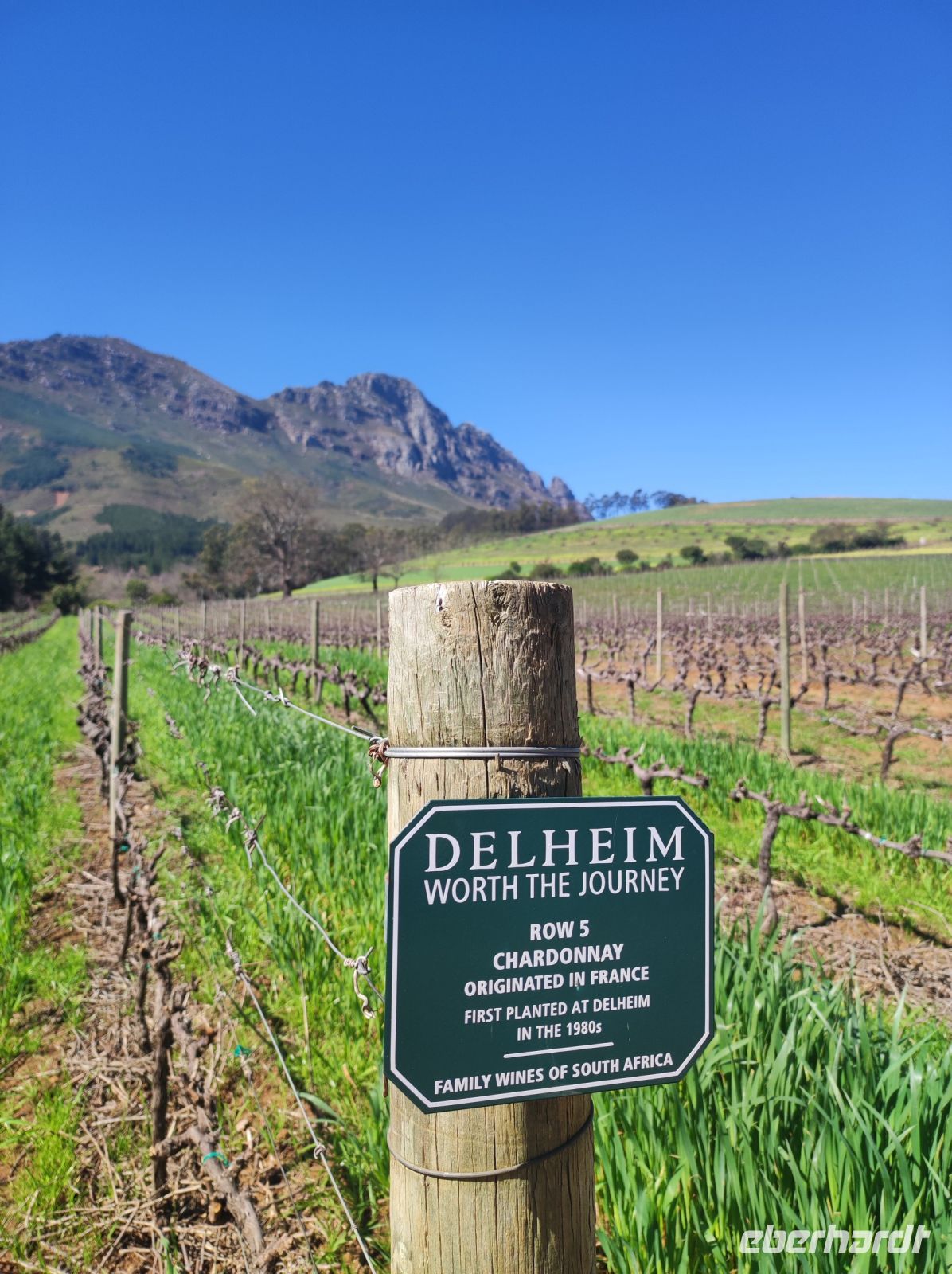 Weingut Delheim (Südafrika) &ndash; &copy; Sten Bernhardt (Eberhardt TRAVEL)