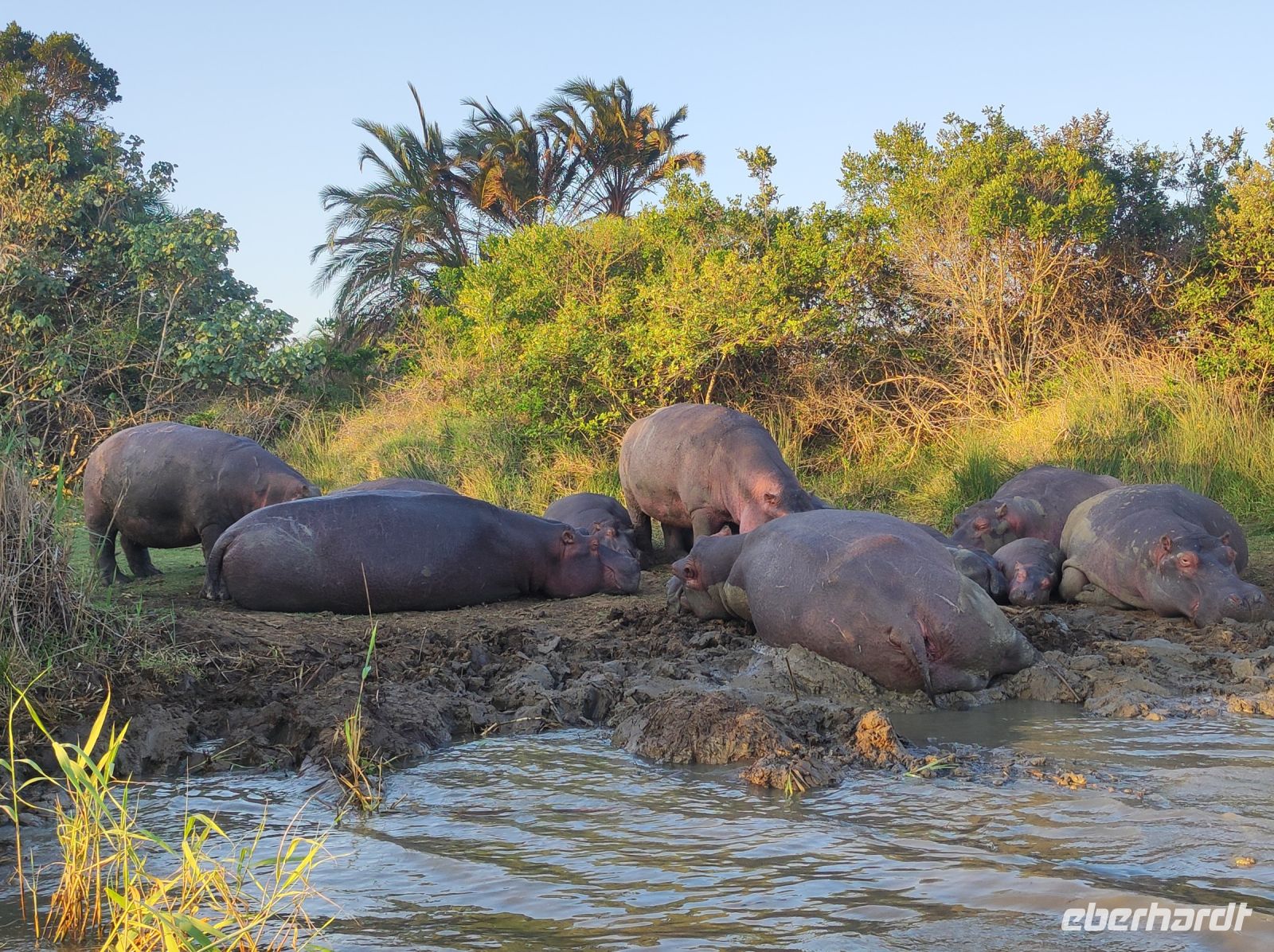 Flusspferdsafari auf dem St. Lucia - Südafrika &ndash; &copy; Sten Bernhardt (Eberhardt TRAVEL)