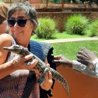Namibia - Otjiwarongo - Croc Farm - Baby Croc &ndash; &copy; Annett Müller (Eberhardt TRAVEL)