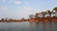 Namibia - Bootsfahrt Okavango