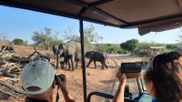 Botswana - Pirschfahrt im Chobe &ndash; &copy; Annett Müller (Eberhardt TRAVEL)