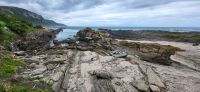 128 Wanderung Tsitsikamma Nationalpark &ndash; &copy; Susanne Schirmann (Eberhardt TRAVEL)