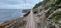 137 Wanderung Tsitsikamma Nationalpark &ndash; &copy; Susanne Schirmann (Eberhardt TRAVEL)