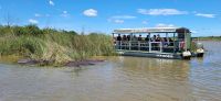148 Hippobeoaachtung auf St . Lucia Lake &ndash; &copy; Susanne Schirmann (Eberhardt TRAVEL)