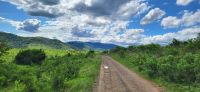 157 Hluhluwe NP &ndash; &copy; Susanne Schirmann (Eberhardt TRAVEL)