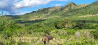 163 Hluhluwe NP &ndash; &copy; Susanne Schirmann (Eberhardt TRAVEL)