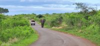 168 NP  &ndash; &copy; Susanne Schirmann (Eberhardt TRAVEL)