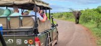 169 welch eine Begegnung &ndash; &copy; Susanne Schirmann (Eberhardt TRAVEL)