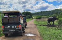194 Hluhluwe NP &ndash; &copy; Susanne Schirmann (Eberhardt TRAVEL)