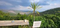 317 Ausblick in die Misty Mountains &ndash; &copy; Susanne Schirmann (Eberhardt TRAVEL)