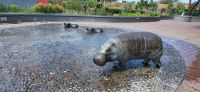 418 Hippos in Hazyview