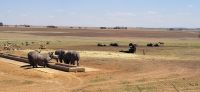 420 nochmals Wildtiere in Alzu &ndash; &copy; Susanne Schirmann (Eberhardt TRAVEL)