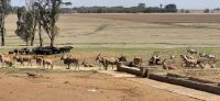 421 Wildlife in Alzu &ndash; &copy; Susanne Schirmann (Eberhardt TRAVEL)