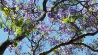 Südafrika - Stellenbosch &ndash; &copy; Annett Müller (Eberhardt TRAVEL)
