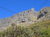 Eindrücke vom Tafelberg (25) &ndash; &copy; Marcus Hasselhorst (Eberhardt TRAVEL)