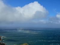 Chapmans Peak &ndash; &copy; Marcus Hasselhorst (Eberhardt TRAVEL)