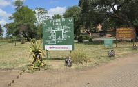 Wildtierwelten im Kruger NP (37) &ndash; &copy; Marcus Hasselhorst (Eberhardt TRAVEL)