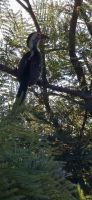 Prideland Safari (11) &ndash; &copy; Marcus Hasselhorst (Eberhardt TRAVEL)
