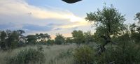 Prideland Safari (24) &ndash; &copy; Marcus Hasselhorst (Eberhardt TRAVEL)