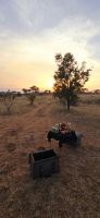 Prideland Safari (34) &ndash; &copy; Marcus Hasselhorst (Eberhardt TRAVEL)