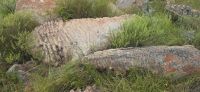 Blyde canyon (6) &ndash; &copy; Marcus Hasselhorst (Eberhardt TRAVEL)
