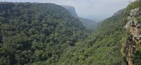 Graskop Gorge Lift Adventure Center (6) &ndash; &copy; Marcus Hasselhorst (Eberhardt TRAVEL)