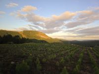 Mbapane Region (8) &ndash; &copy; Marcus Hasselhorst (Eberhardt TRAVEL)