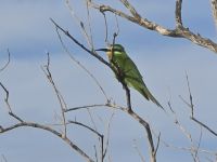 weiteres Tierleben (5) &ndash; &copy; Marcus Hasselhorst (Eberhardt TRAVEL)