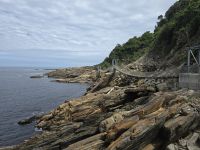 Tsitsikama NP (6) &ndash; &copy; Marcus Hasselhorst (Eberhardt TRAVEL)