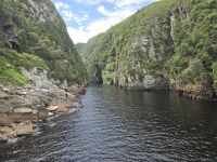 Tsitsikama NP (7) &ndash; &copy; Marcus Hasselhorst (Eberhardt TRAVEL)