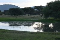 5. Tag - Gabus Game Ranch (4) &ndash; &copy; Franziska Barthel (Eberhardt TRAVEL)
