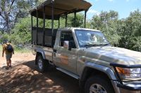 7. Tag - Divundu - Buffalo Park - Safari Jeep &ndash; &copy; Franziska Barthel (Eberhardt TRAVEL)
