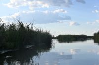 8. Tag - Bootsfahrt auf dem Kwando (5) &ndash; &copy; Franziska Barthel (Eberhardt TRAVEL)