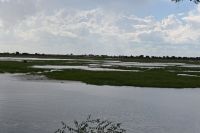 10. Tag - Chobe Nationalpark (5) &ndash; &copy; Franziska Barthel (Eberhardt TRAVEL)