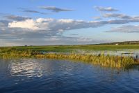 10. Tag - Chobe Nationalpark (51) &ndash; &copy; Franziska Barthel (Eberhardt TRAVEL)